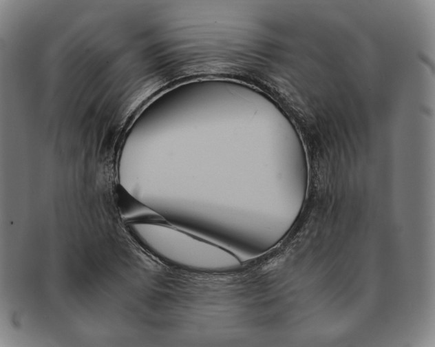 X0000090961073200708301157