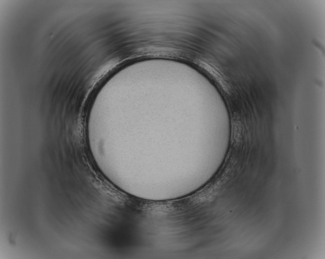 X0000090961074200708301157