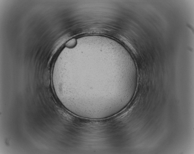 X0000090961075200708301157