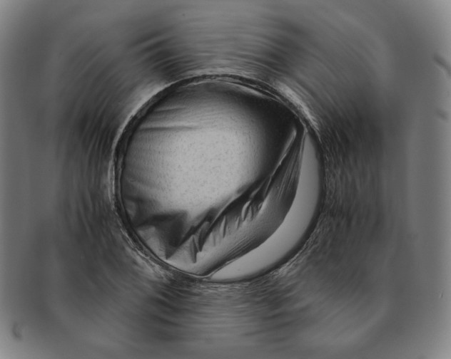 X0000090961076200708301157