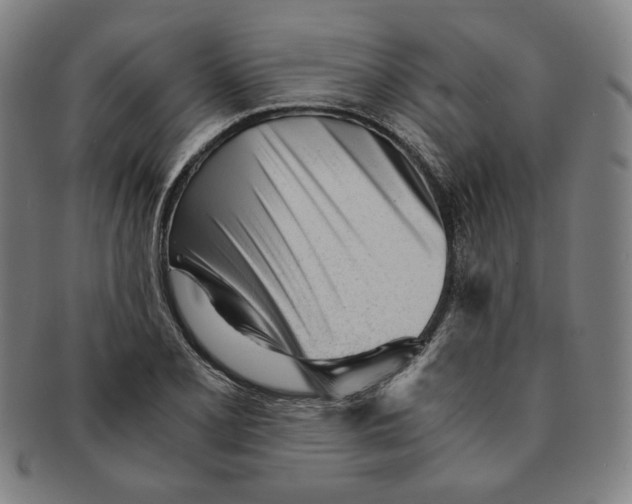 X0000090961077200708301157