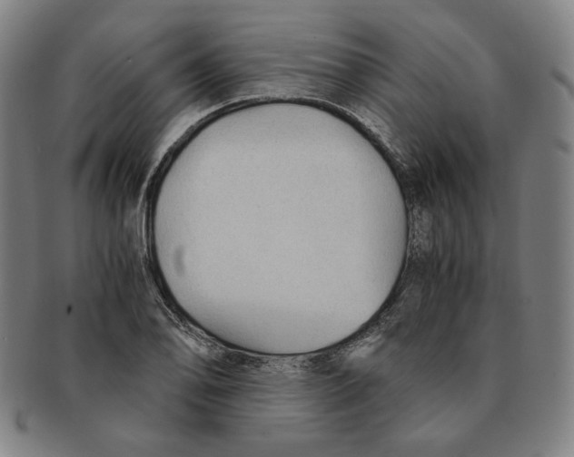 X0000090961078200708301157