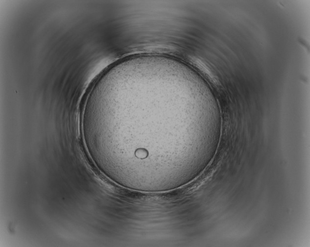 X0000090961079200708301157