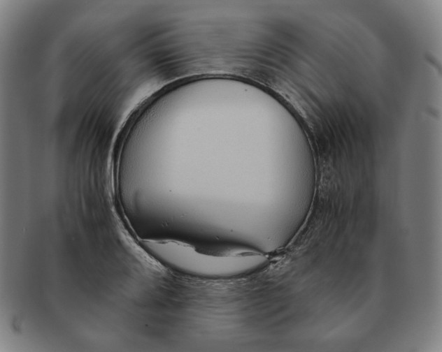 X0000090961080200708301157