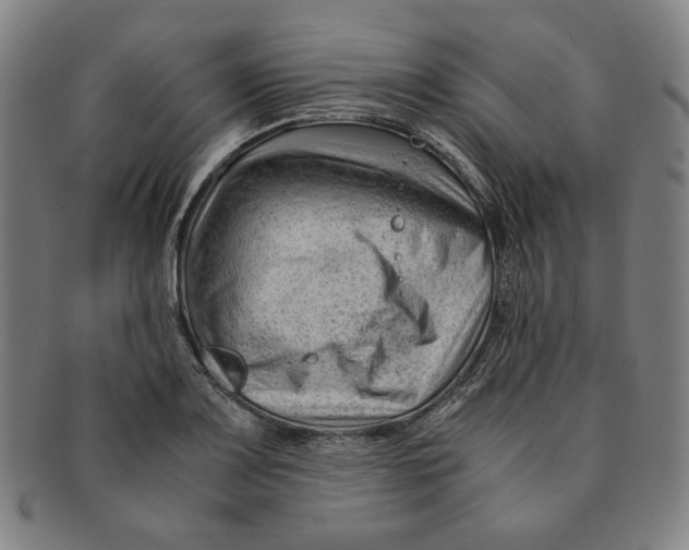 X0000090961083200708301157