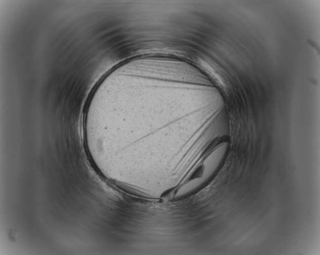 X0000090961084200708301157