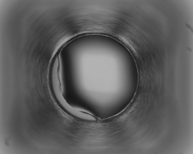 X0000090961085200708301157