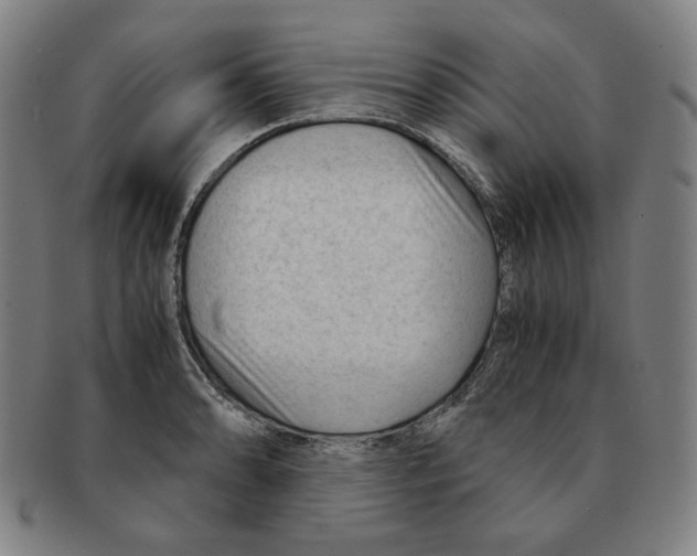 X0000090961086200708301157