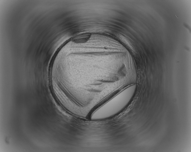 X0000090961087200708301157