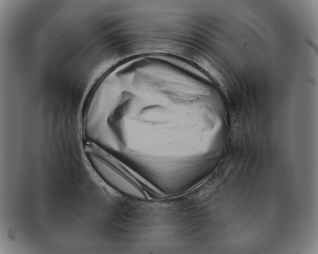 X0000090961088200708301157