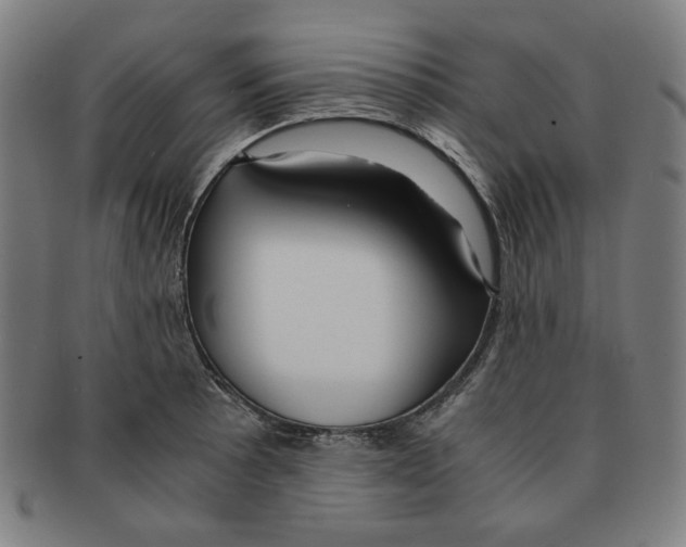 X0000090961089200708301157