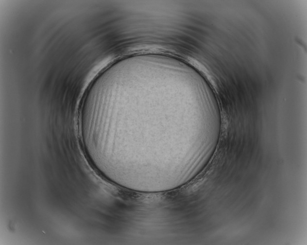 X0000090961090200708301157