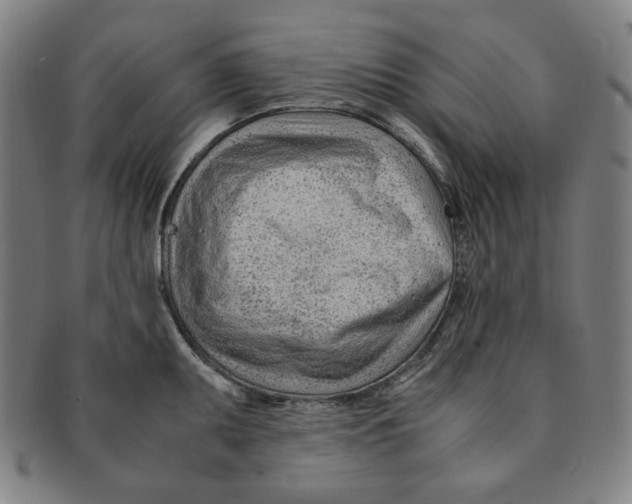 X0000090961095200708301157