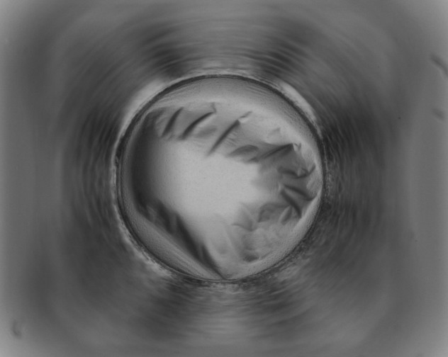 X0000090961096200708301157