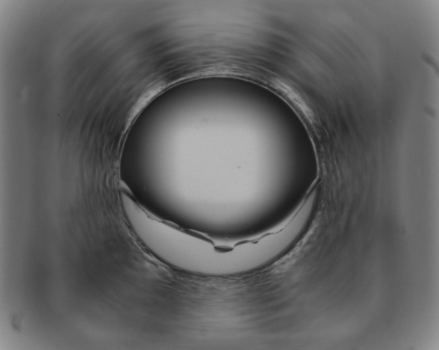 X0000090961097200708301157