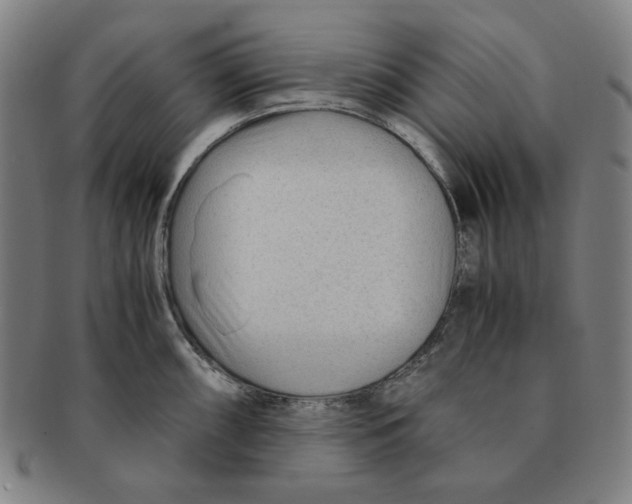 X0000090961098200708301157