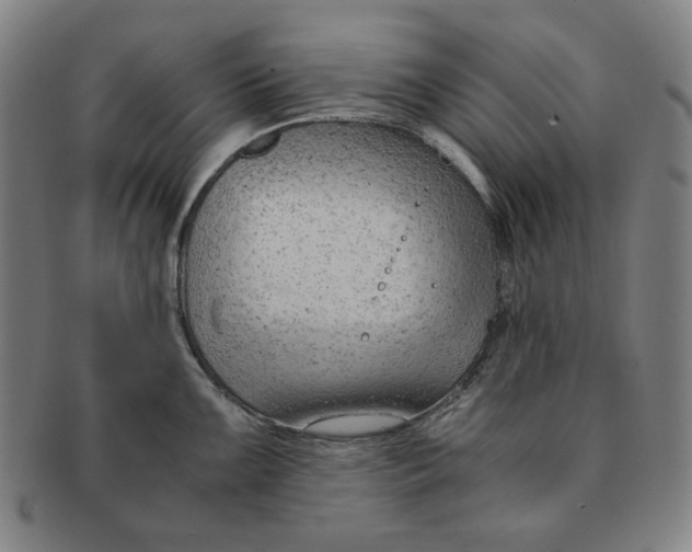 X0000090961099200708301157