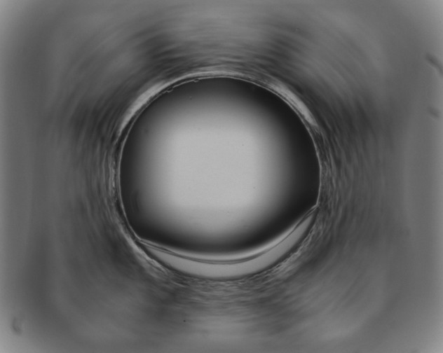 X0000090961101200708301157