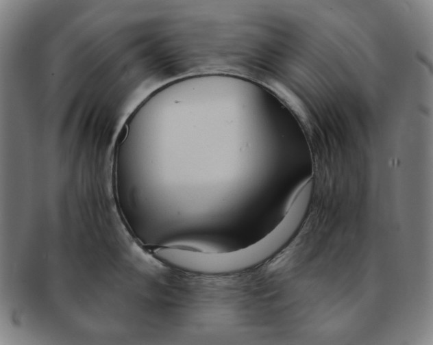 X0000090961102200708301157