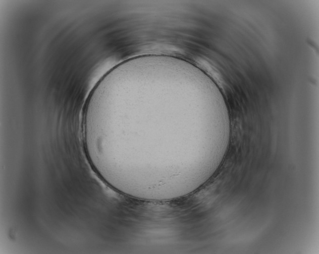 X0000090961103200708301157