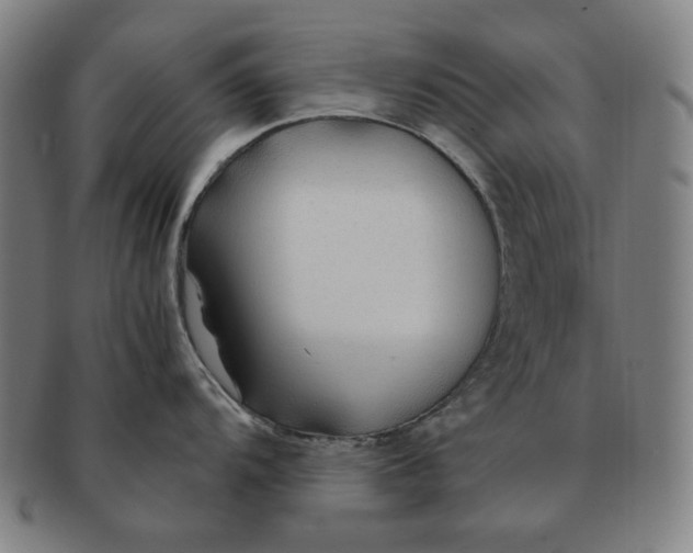 X0000090961104200708301157