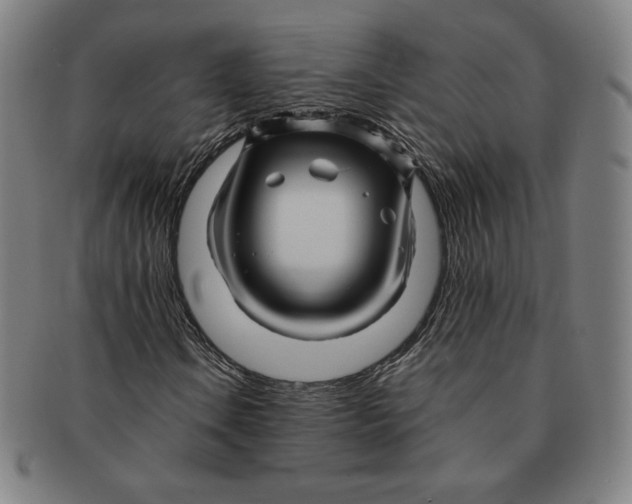 X0000090961106200708301156