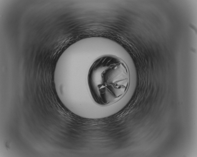 X0000090961108200708301156