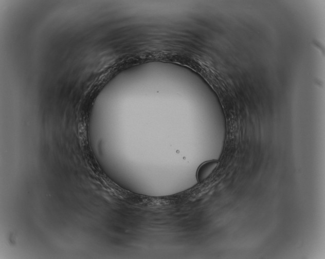 X0000090961109200708301156