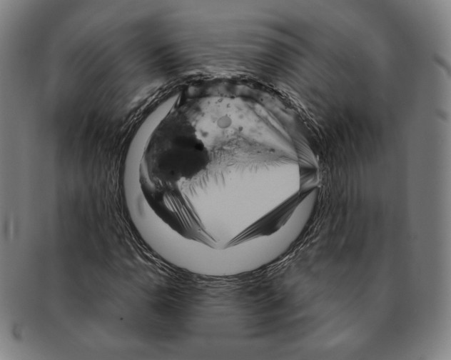 X0000090961110200708301156