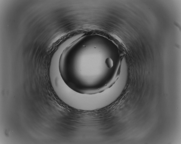 X0000090961112200708301156