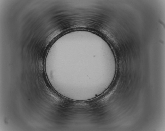 X0000090961113200708301156