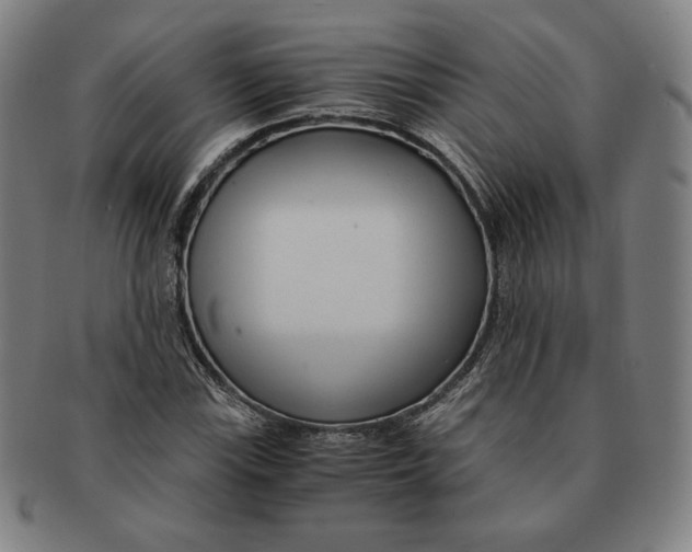 X0000090961115200708301156