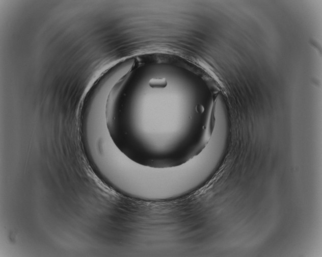 X0000090961116200708301156