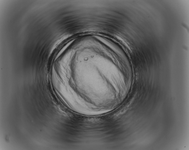 X0000090961117200708301156