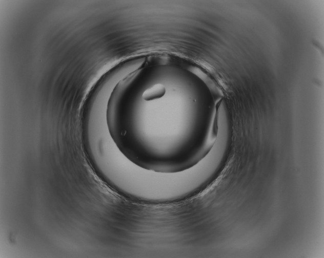 X0000090961118200708301156