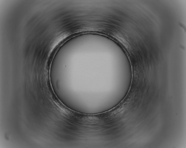 X0000090961119200708301156