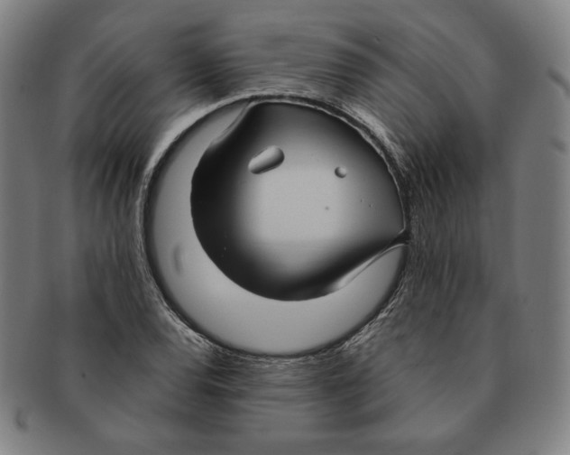 X0000090961120200708301156