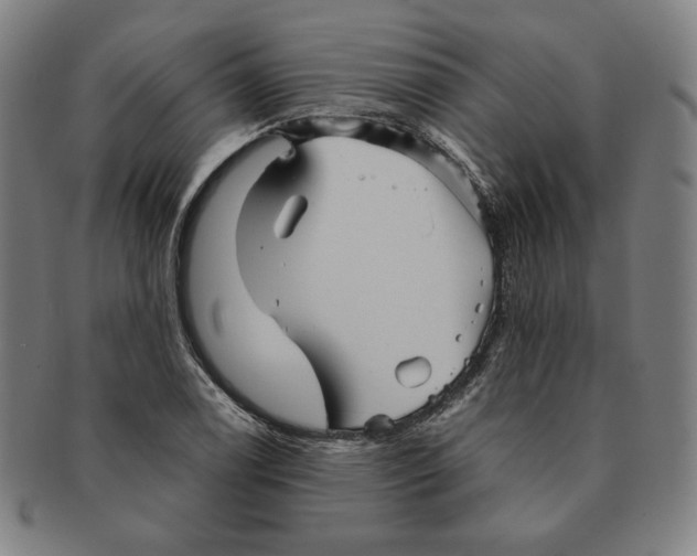 X0000090961122200708301156