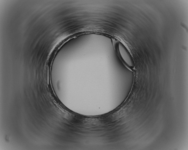 X0000090961123200708301156