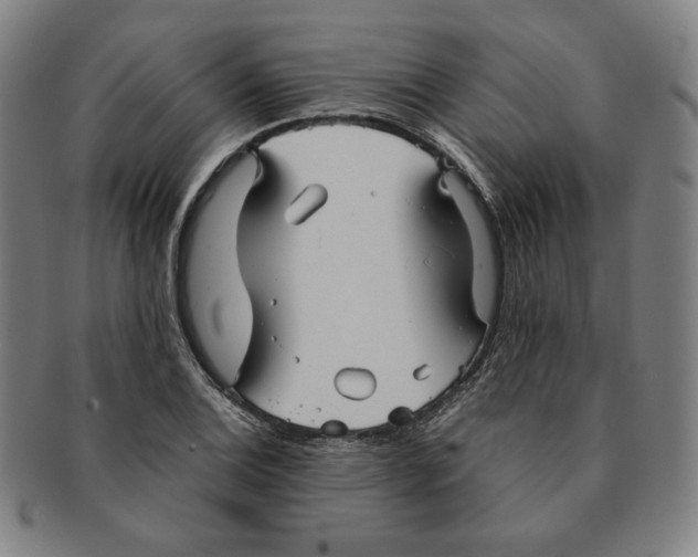 X0000090961124200708301156