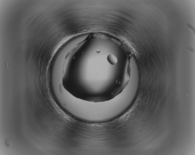 X0000090961126200708301156