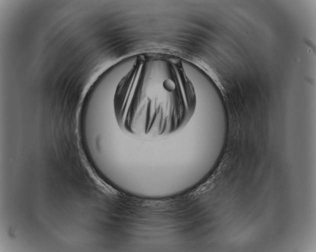 X0000090961128200708301156