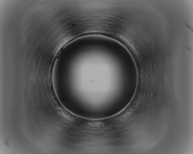 X0000090961129200708301157