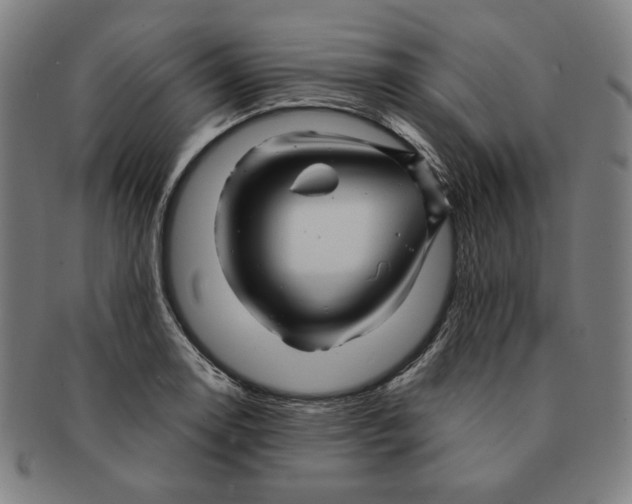 X0000090961130200708301157