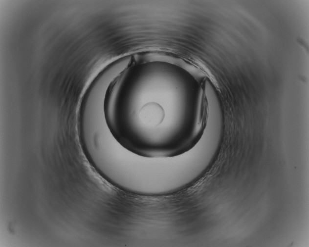 X0000090961132200708301157