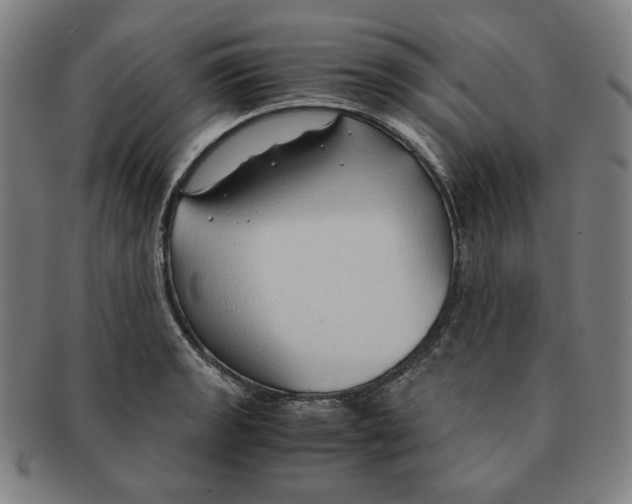 X0000090961133200708301157