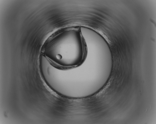 X0000090961134200708301157