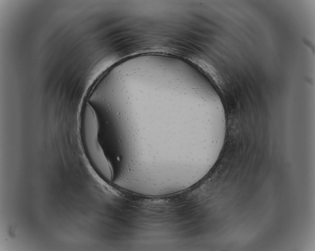 X0000090961135200708301157