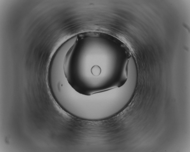 X0000090961136200708301157