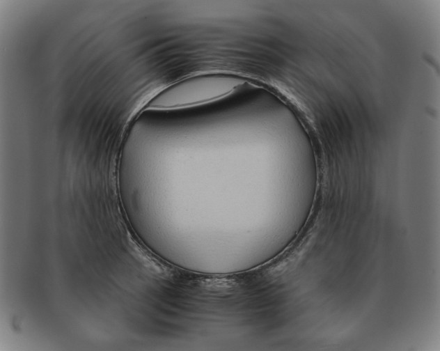 X0000090961137200708301157